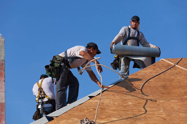 Best Roof Waterproofing Services  in Arcadia, LA