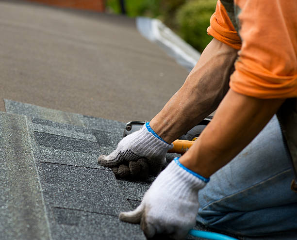 Best Roof Gutter Cleaning  in Arcadia, LA